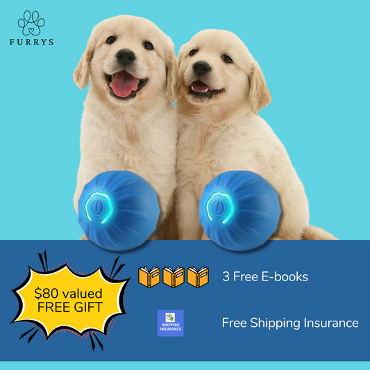 Oscott Pets Interactive Smart Bounce Ball